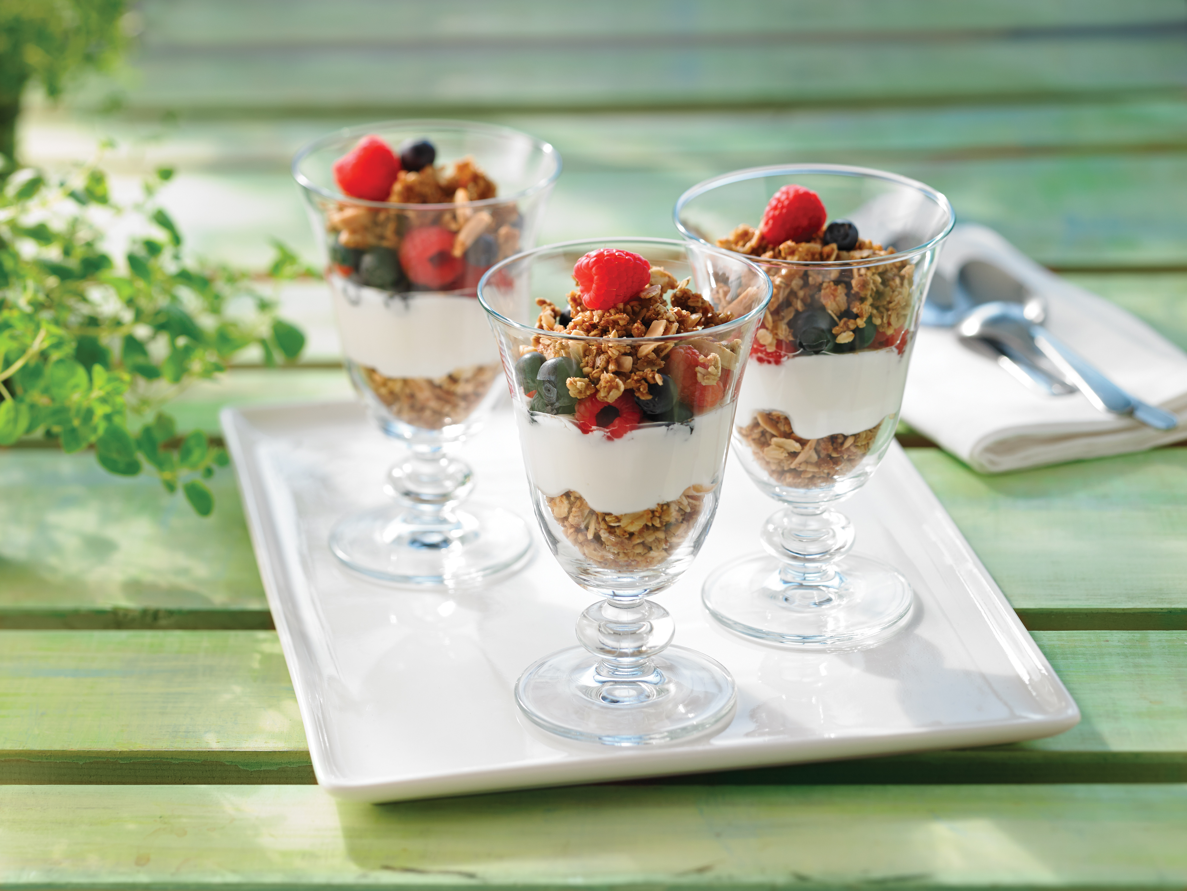 https://food-guide.canada.ca/sites/default/files/2020-07/ST_yogurt_grano_parfait_4c.jpg