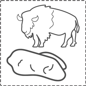 bison_bw_border
