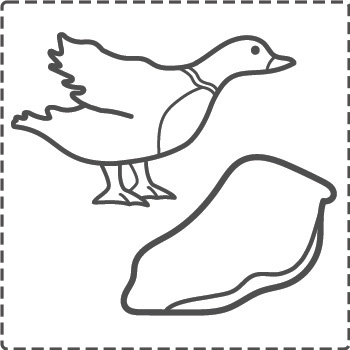 duck_bw_border