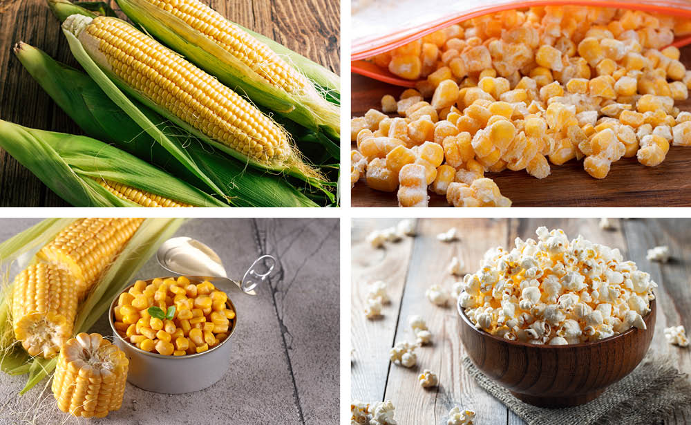 Ears of fresh corn.   A bag of frozen corn kernels.  An open can of corn kernels. A bowl of popped corn.