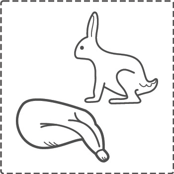 rabbit__bw_border