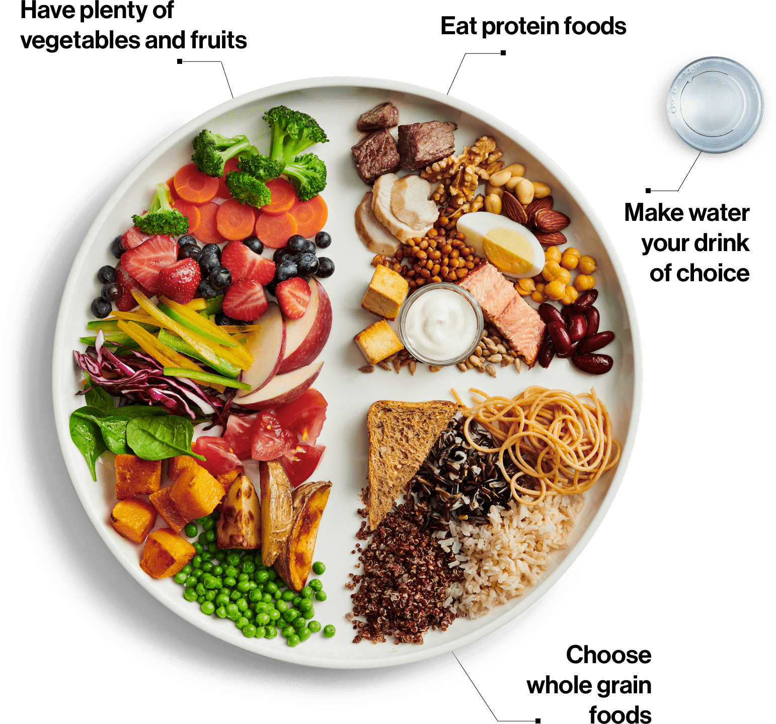 Food Guide Snapshot Canada S Food Guide   Food Guide Visual En 